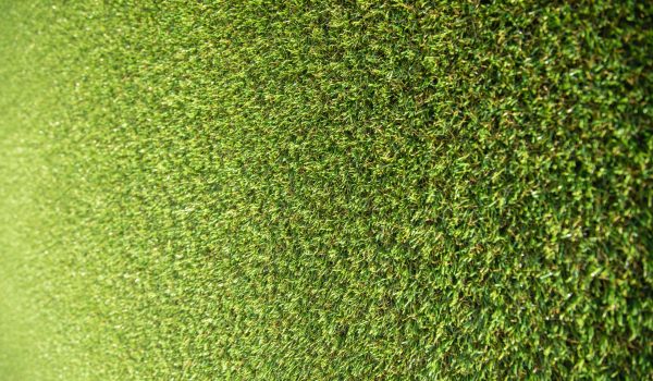 engin-akyurt-ZZMDmnnt-kQ-unsplash